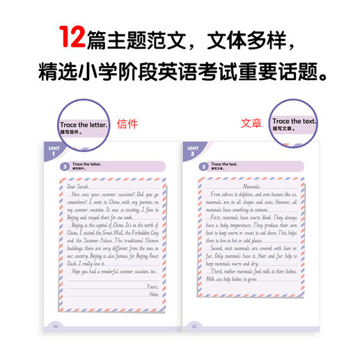小学英语词句边学边练6 上下册 小学六年级辅导 书写描红写作训练 基本英语单词短语句型范文趣味插图 新东方 商品图2