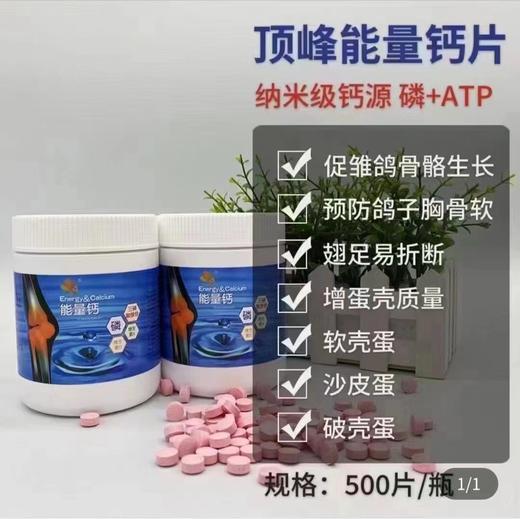 【能量钙】片剂500粒（塞服型）鸽补钙/ATP磷/鸽药补体磷钙片（荷兰顶峰） 商品图0