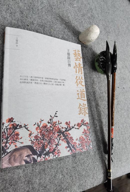 新书上架《艺情从道录》王庆余 著 商品图1