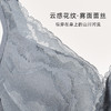 皇家丽美云感花纹雾面蕾丝侧收副乳无钢圈调整型文胸内衣WWJ092-3 商品缩略图3