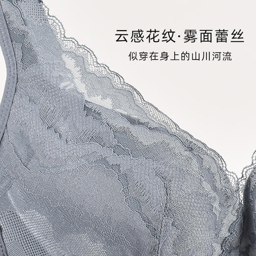 皇家丽美云感花纹雾面蕾丝侧收副乳无钢圈调整型文胸内衣WWJ092-3 商品图3
