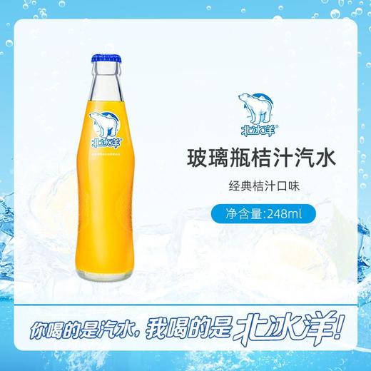 北冰洋 精制桔汁汽水 248ml/瓶 商品图1