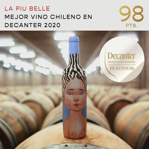 高分力压各大“酒王”！智利膜拜新贵名庄！超美艺术标 维克酒庄佳人红葡萄酒 VIK La Piu Belle 2020 商品图8