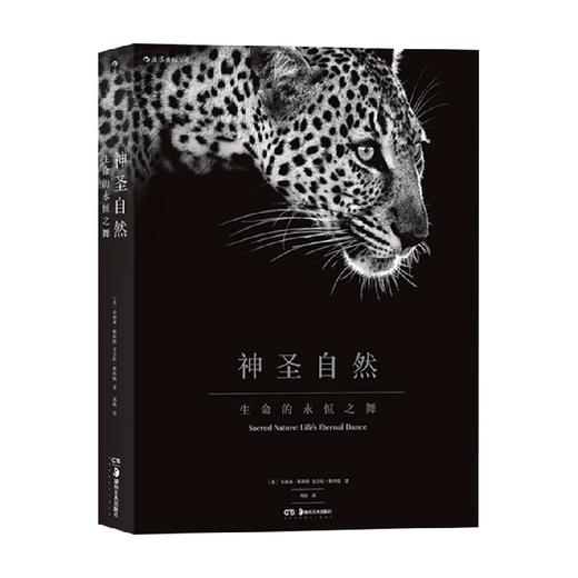 神圣自然 生命的永恒之舞 乔纳森 斯科特 安吉拉 斯科特 著 摄影艺术 商品图0