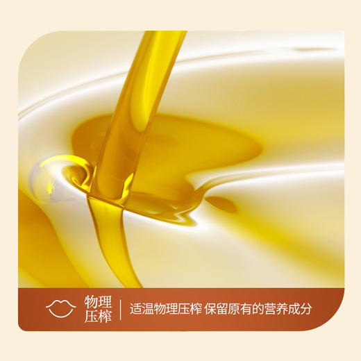 【新疆外运】琥珀色5LPET桶装 纯红花籽油 商品图3