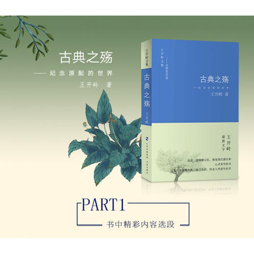 古典之殇 商品图1