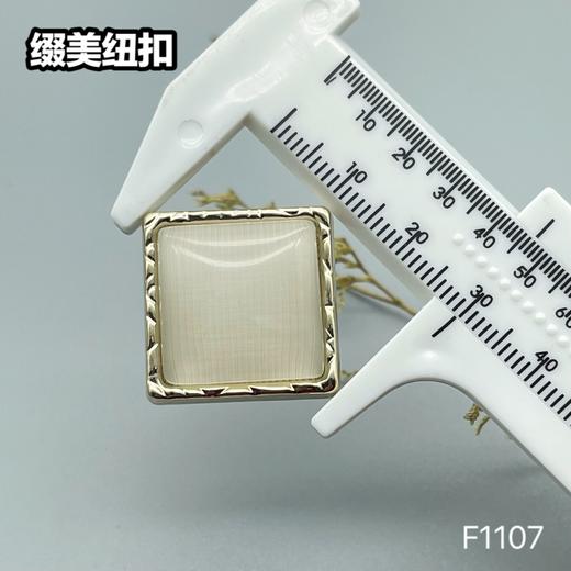 F1107 商品图7