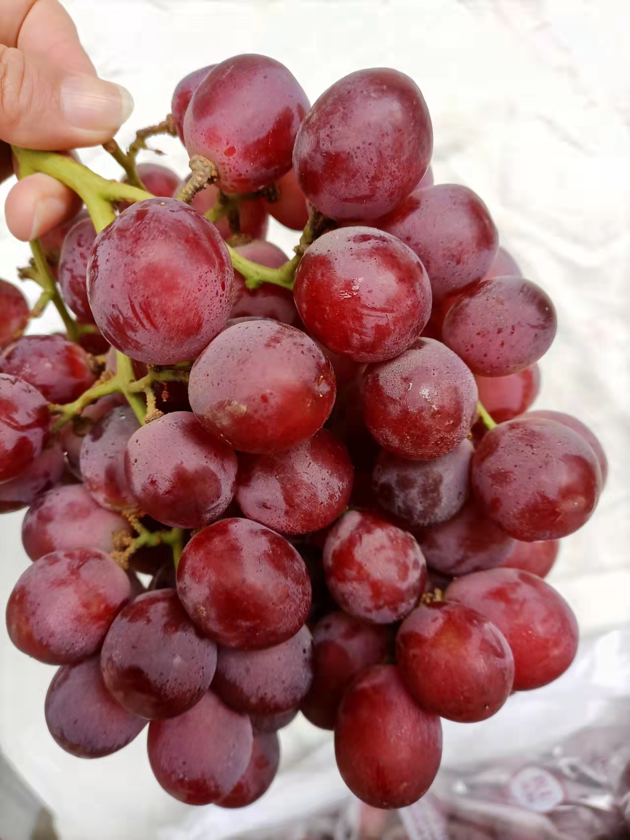 【秘鲁红提】葡萄的一种,果皮脆爽不酸涩,无须剥除,一颗一颗放进嘴里