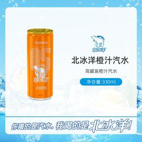 北冰洋橙汁拉罐汽水330ml