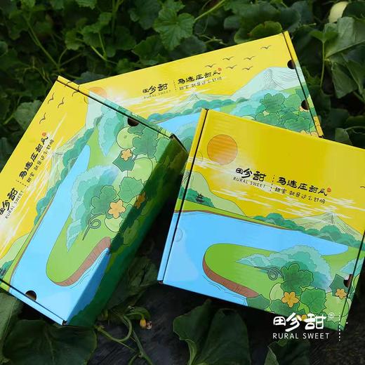【产地直发包邮】畛甜—马连庄甜瓜 商品图5