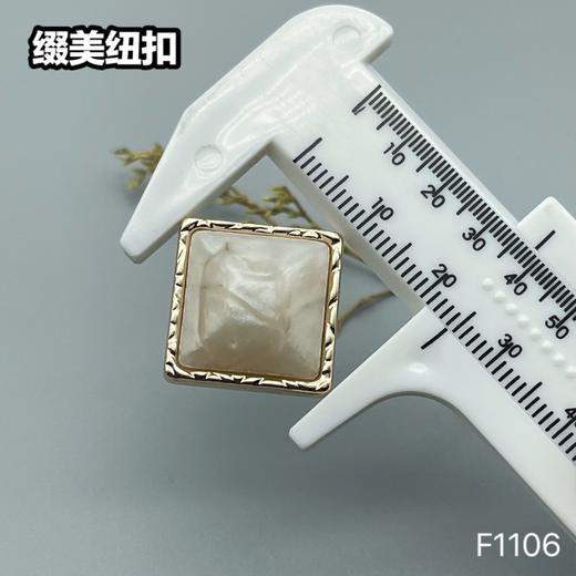 F1106 商品图6