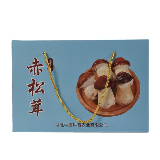 【严选】三湖美新鲜现摘赤松茸3.5斤礼盒装（基地直发） 商品图0