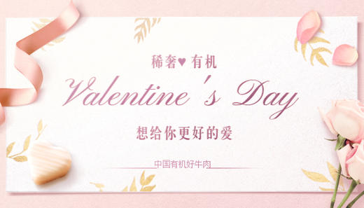 想给你更好的爱 商品图0