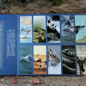  35张国家①级保护动物珍稀邮票，值得收藏 