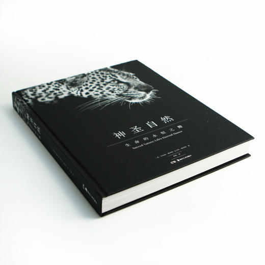 神圣自然 生命的永恒之舞 乔纳森 斯科特 安吉拉 斯科特 著 摄影艺术 商品图2