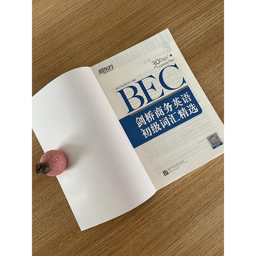 【新东方】剑桥商务英语(BEC)初级词汇精选 商品图3