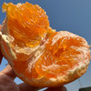 四川明日见柑橘    柑香浓郁  甜美多汁   细嫩化渣   5斤 商品缩略图1