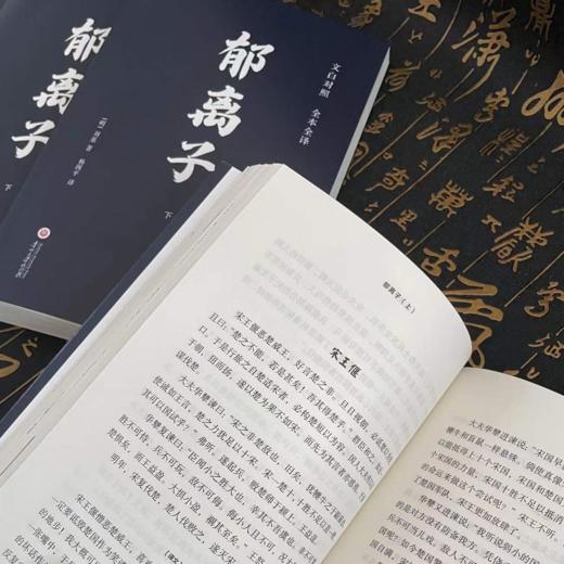 《郁离子》全2册 文白对照 经典全译 | 认准真相，活得通透 商品图2
