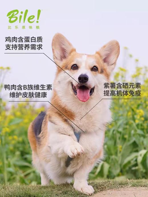 bile比乐守护者多口味多配方通用全价12kg狗粮 商品图1