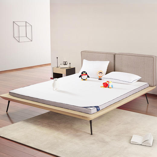 梦洁QQfamily记忆凝胶太空垫【180】 商品图0