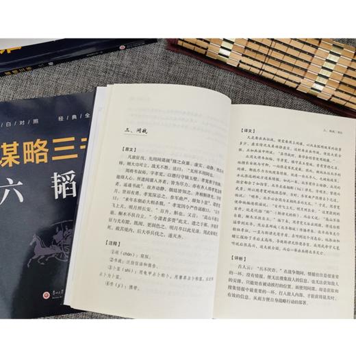《郁离子》全2册 文白对照 经典全译 | 认准真相，活得通透 商品图5