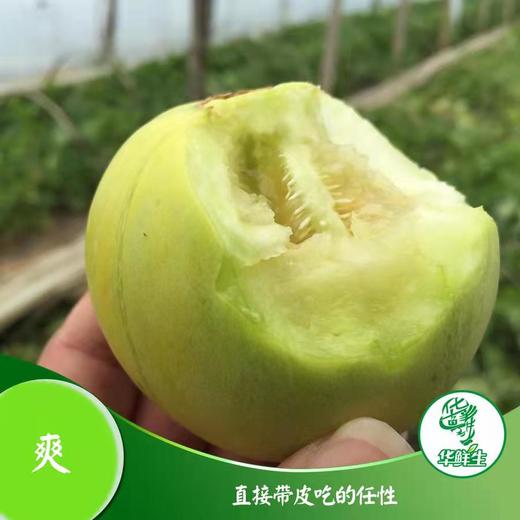 【产地直发包邮】畛甜—马连庄甜瓜 商品图4