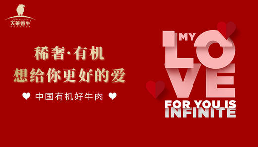 想给你更好的爱 商品图0