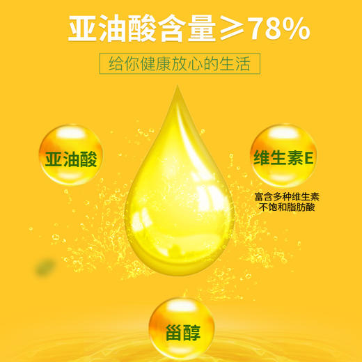 【新疆外运】琥珀色5LPET桶装 纯红花籽油 商品图1