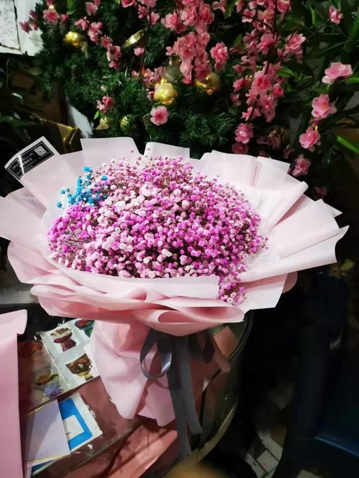 【NB】满天星 商品图0