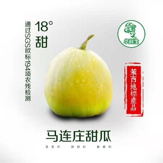 【产地直发包邮】畛甜—马连庄甜瓜 商品图0