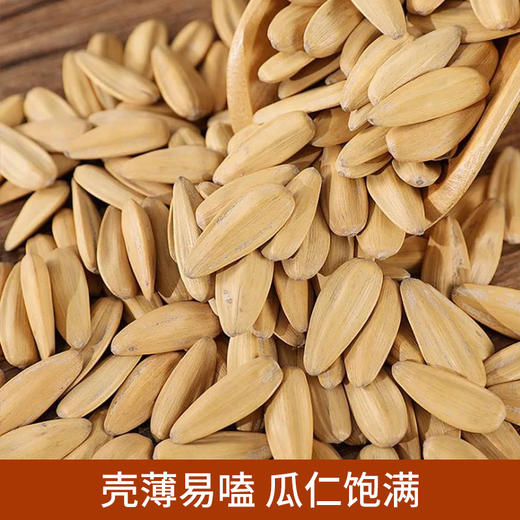 张笨仁简装打手瓜子  颗粒饱满 外壳易磕 粒大肉香 128g*5包 商品图2