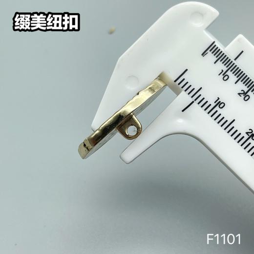 F1101 商品图7