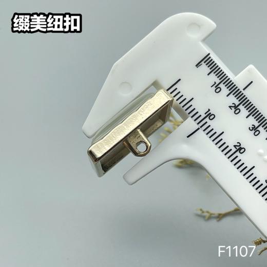 F1107 商品图8