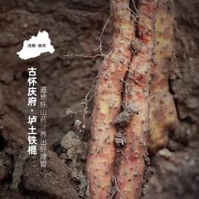 河南温县垆土铁棍山药、粉糯香甜，道地怀山药、养出好脾胃，长得不好看，但是真正有药性的就是它