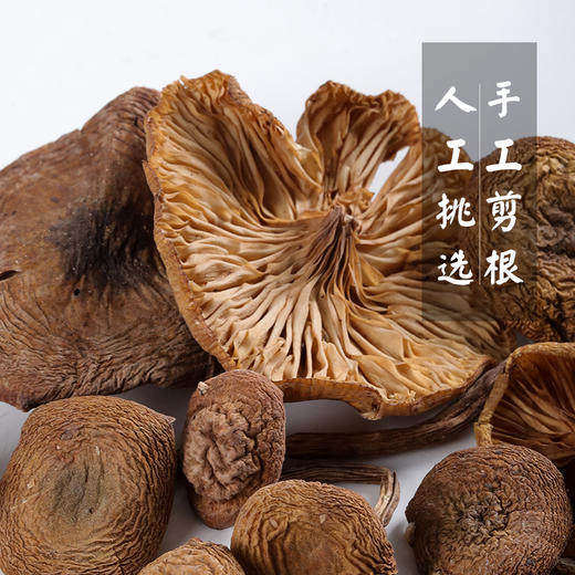 【东北特产 榛蘑】东北特产 榛蘑 商品图4