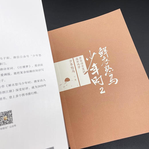 鲜衣怒马少年时2唐宋诗章里的盛世残梦 商品图4