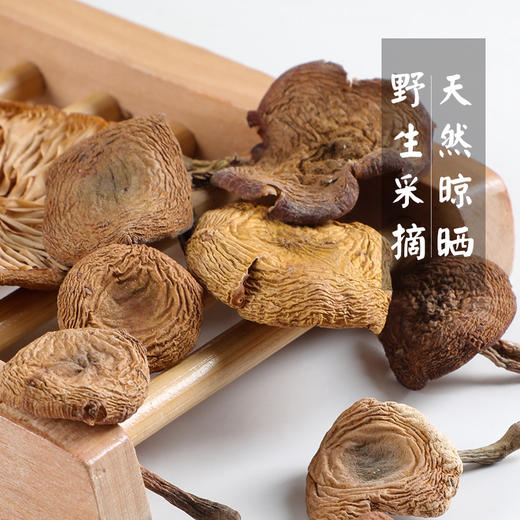【东北特产 榛蘑】东北特产 榛蘑 商品图5