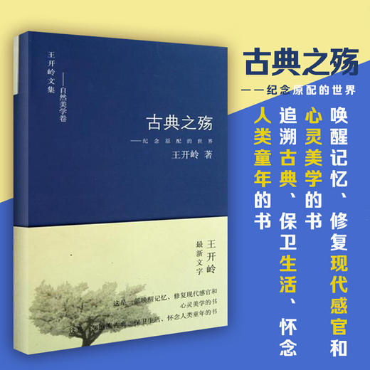 古典之殇 商品图2