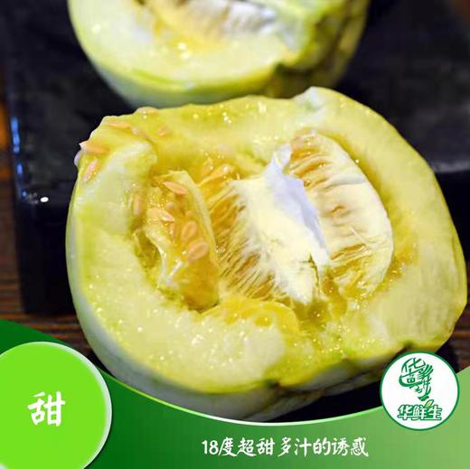 【产地直发包邮】畛甜—马连庄甜瓜 商品图2