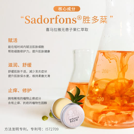 【临期产品，2026年3月底到期，介意勿拍】奇迹庄园(AGEDOR)万用植萃膏 植物萃取 修护润唇 膏保湿隔离孕婴敏肌全身适用 10g 商品图2