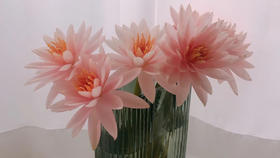 我与花房的二三事