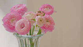 鲜花给我带来更丰盛的幸福