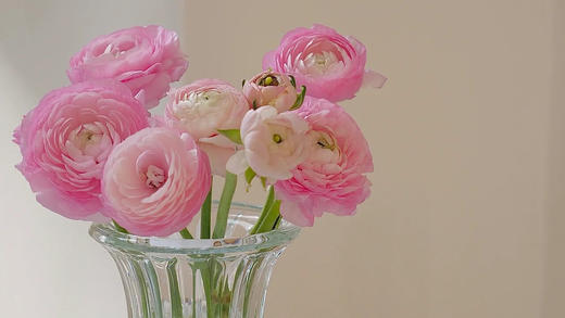 鲜花给我带来更丰盛的幸福 商品图0