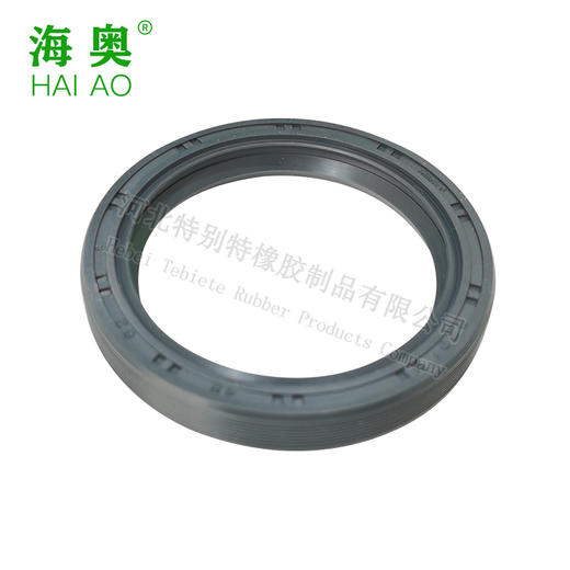 海奥斯太尔大气泵油封48*62*8（单价=1个，2个/盒）48x62x8（48628） 商品图4