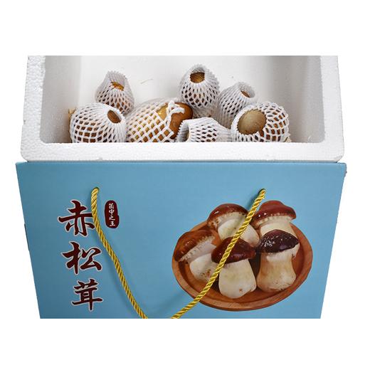 【严选】三湖美新鲜现摘赤松茸3.5斤礼盒装（基地直发） 商品图1