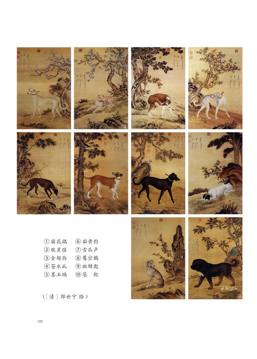 灵智之犬(博物之旅) 商品图1