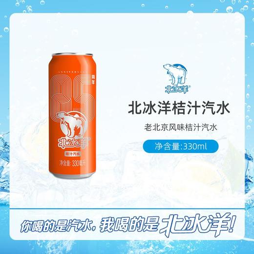 北冰洋桔汁拉罐汽水 330ml/瓶 商品图1