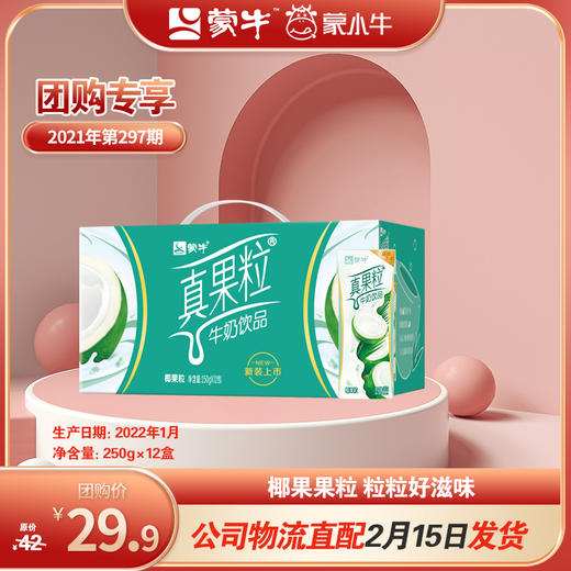 真果粒椰果粒250g×12盒 商品图0