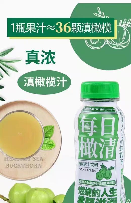 每日橄清 橄榄汁饮料 商品图1