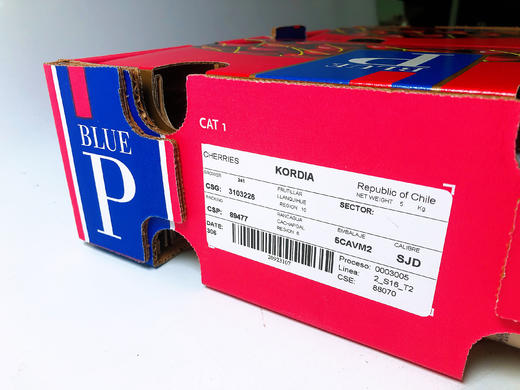 智利kordia双j红车厘子科迪亚车厘子中的劳斯莱斯5斤礼盒装脆甜可口